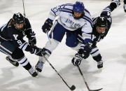 开云体育APP下载-森林狼险胜尼克斯，武切维奇在F1新赛季揭幕战接管比赛